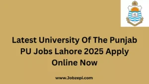 Latest University Of The Punjab PU Jobs Lahore 2025 Apply Online Now